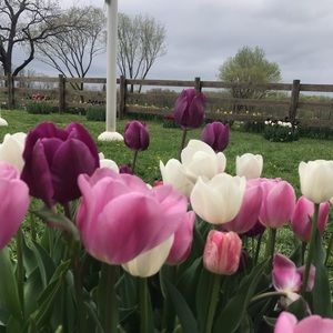 Meet your Posher, Mei